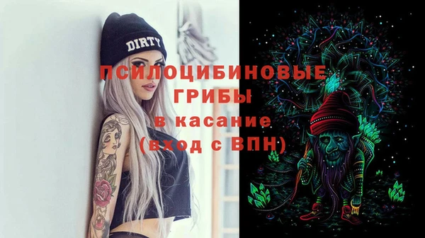 МДПВ Алзамай