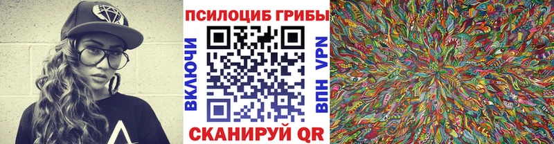 Галлюциногенные грибы мицелий Завитинск